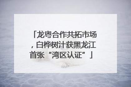 龙粤合作共拓市场，白桦树汁获黑龙江首张“湾区认证”