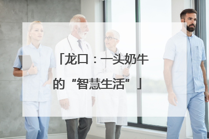 龙口：一头奶牛的“智慧生活”