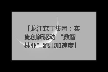 龙江森工集团：实施创新驱动 “数智林业”跑出加速度