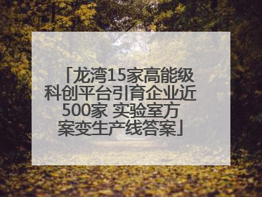 龙湾15家高能级科创平台引育企业近500家 实验室方案变生产线答案