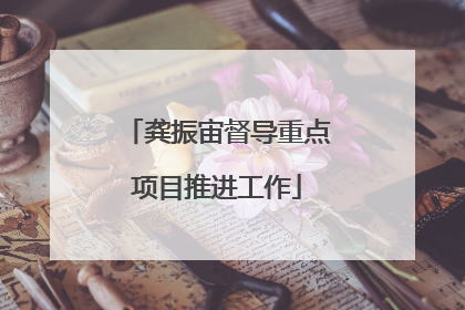 龚振宙督导重点项目推进工作