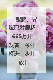 鲲鹏、昇腾已发展超665万开发者，今年将进一步开放
