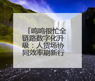 鸣鸣很忙全链路数字化升级：人货场协同效率刷新行业天花板
