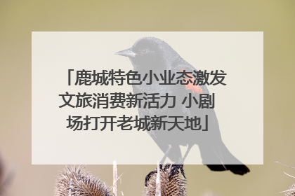 鹿城特色小业态激发文旅消费新活力 小剧场打开老城新天地