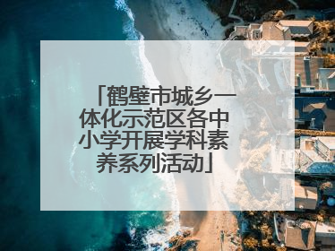 鹤壁市城乡一体化示范区各中小学开展学科素养系列活动