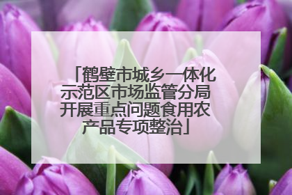 鹤壁市城乡一体化示范区市场监管分局开展重点问题食用农产品专项整治