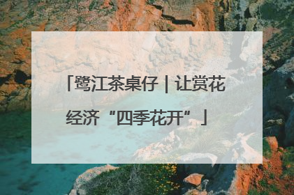 鹭江茶桌仔｜让赏花经济“四季花开”