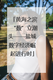 黄海之滨“数”立潮头——盐城数字经济崛起进行时