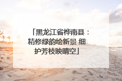 黑龙江省桦南县：精修绿韵绘新景 细护芳枝映晴空