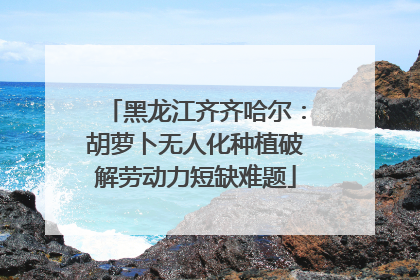 黑龙江齐齐哈尔：胡萝卜无人化种植破解劳动力短缺难题