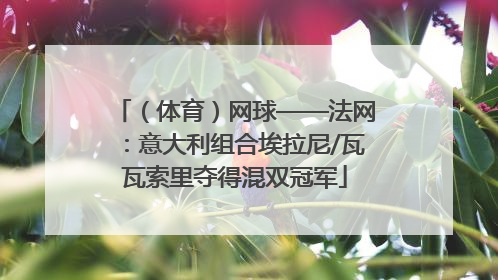 （体育）网球——法网：意大利组合埃拉尼/瓦瓦索里夺得混双冠军