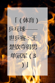 （体育）乒乓球——世乒赛：王楚钦夺得男单冠军（3）