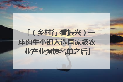 （乡村行·看振兴）一座肉牛小镇入选国家级农业产业强镇名单之后