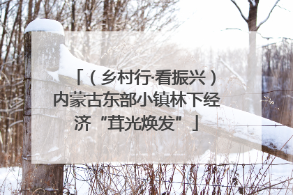 （乡村行·看振兴）内蒙古东部小镇林下经济“茸光焕发”