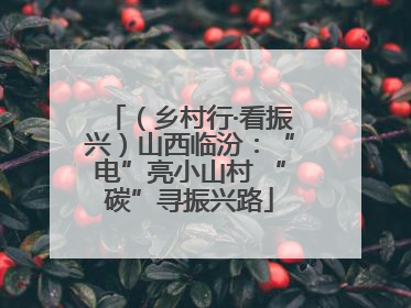 （乡村行·看振兴）山西临汾：“电”亮小山村 “碳”寻振兴路