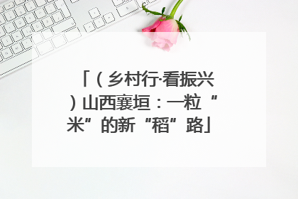 （乡村行·看振兴）山西襄垣：一粒“米”的新“稻”路