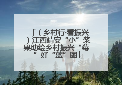 （乡村行·看振兴）江西靖安“小”浆果助绘乡村振兴“莓”好“蓝”图