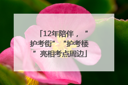 12年陪伴，“护考街”“护考楼”亮相考点周边