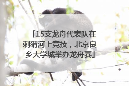 15支龙舟代表队在刺猬河上竞技，北京良乡大学城举办龙舟赛