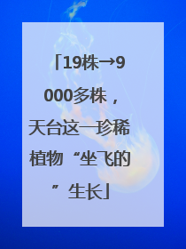 19株→9000多株，天台这一珍稀植物“坐飞的”生长
