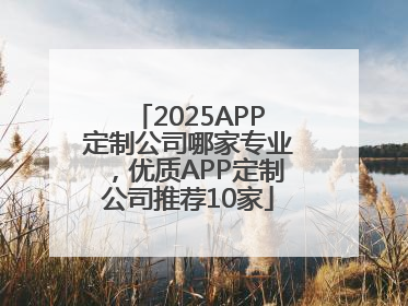 2025APP定制公司哪家专业，优质APP定制公司推荐10家
