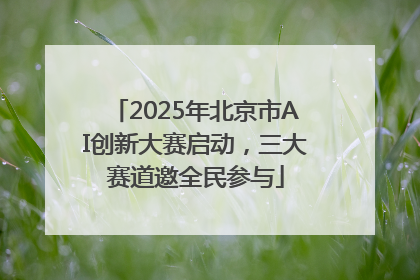 2025年北京市AI创新大赛启动，三大赛道邀全民参与