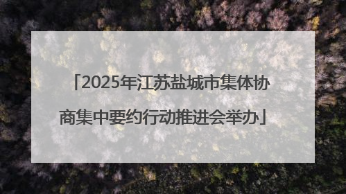 2025年江苏盐城市集体协商集中要约行动推进会举办