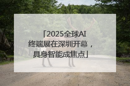 2025全球AI终端展在深圳开幕，具身智能成焦点