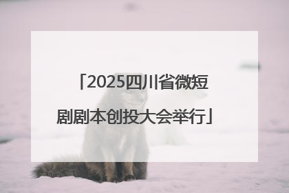 2025四川省微短剧剧本创投大会举行