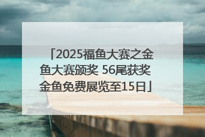 2025福鱼大赛之金鱼大赛颁奖 56尾获奖金鱼免费展览至15日
