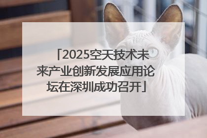 2025空天技术未来产业创新发展应用论坛在深圳成功召开
