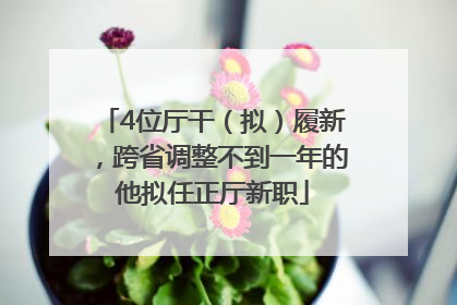 4位厅干（拟）履新，跨省调整不到一年的他拟任正厅新职
