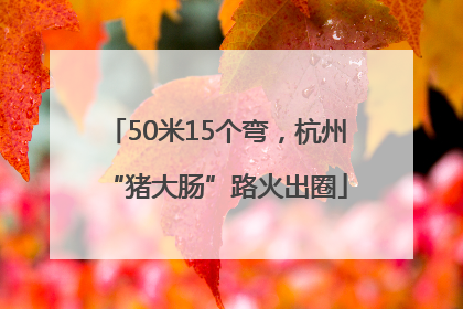 50米15个弯，杭州“猪大肠”路火出圈