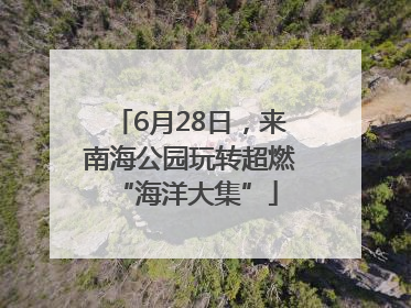 6月28日，来南海公园玩转超燃 “海洋大集”