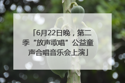 6月22日晚，第二季“放声歌唱”公益童声合唱音乐会上演