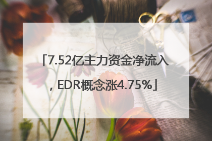 7.52亿主力资金净流入，EDR概念涨4.75%