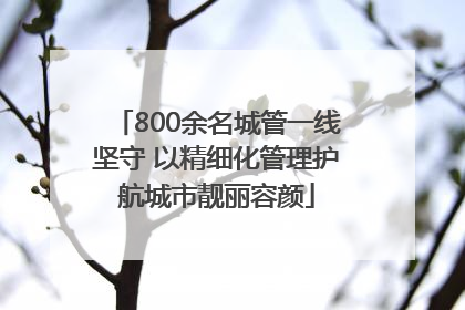800余名城管一线坚守 以精细化管理护航城市靓丽容颜