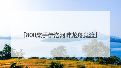 800桨手伊洛河畔龙舟竞渡