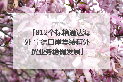 812个标箱通达海外 宁德口岸集装箱外贸业务稳健发展
