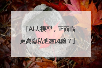 AI大模型，正面临更高隐私泄露风险？
