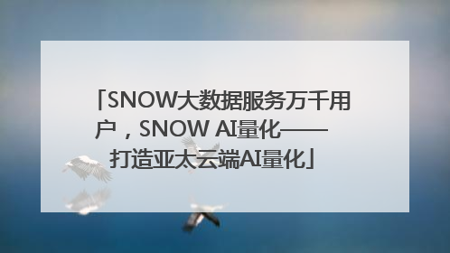SNOW大数据服务万千用户，SNOW AI量化——打造亚太云端AI量化