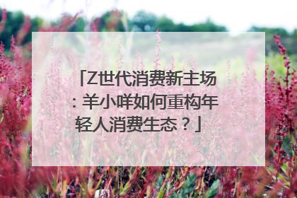 Z世代消费新主场：羊小咩如何重构年轻人消费生态？